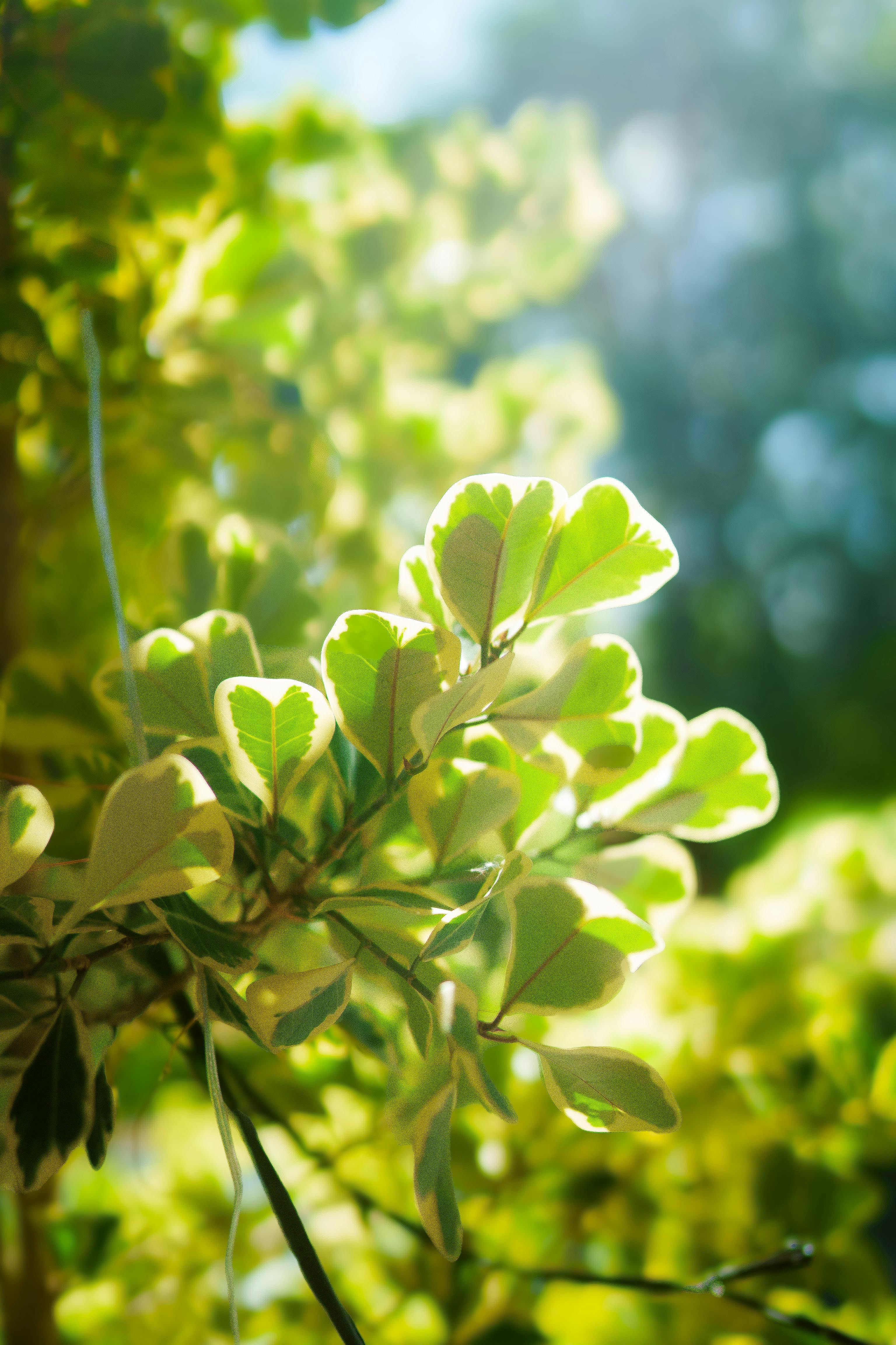 Memahami Fungsi `filter()`