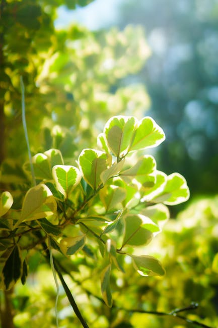 Memahami Fungsi `filter()` Memahami Fungsi `filter()`