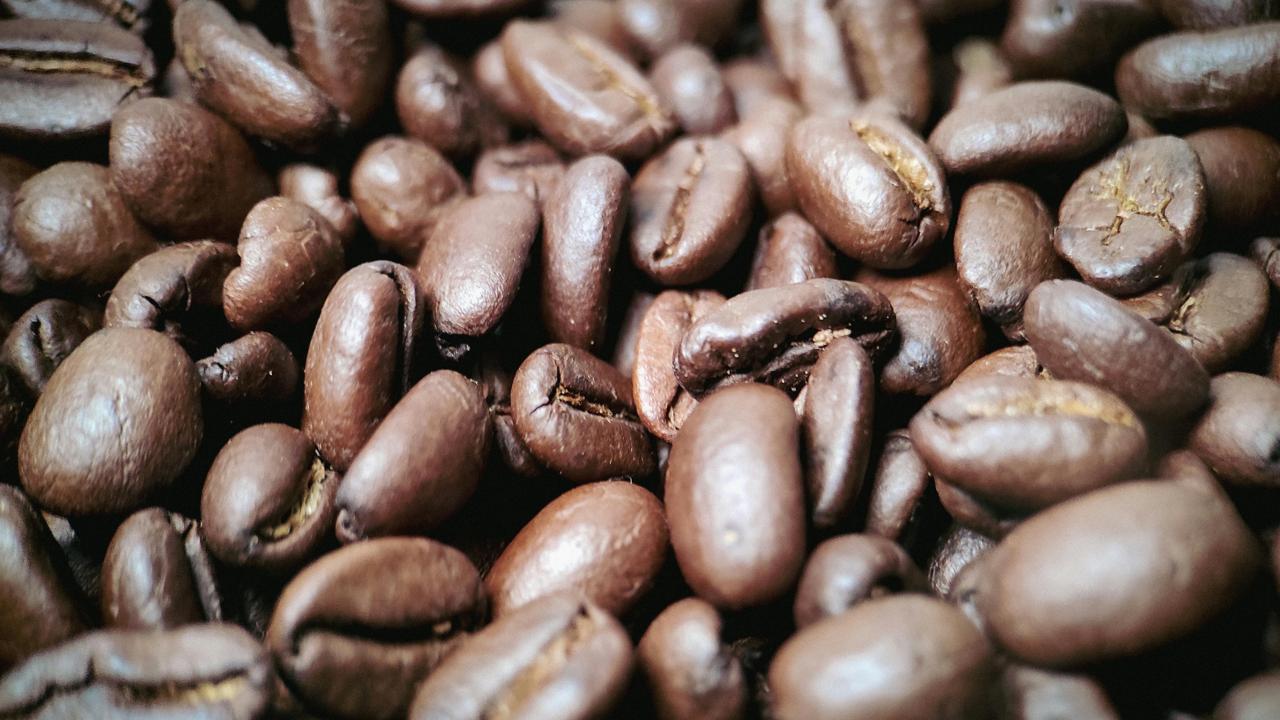 Close-up view of roasted coffee beans showcasing rich texture and deep brown color.