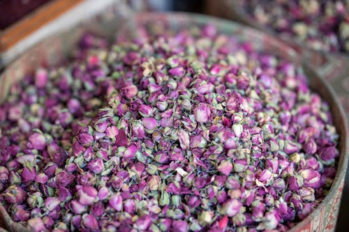 Purple-petaled Flowers