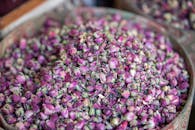 一碗芳香的粉红色玫瑰花蕾，是完美的茶、百花香或装饰