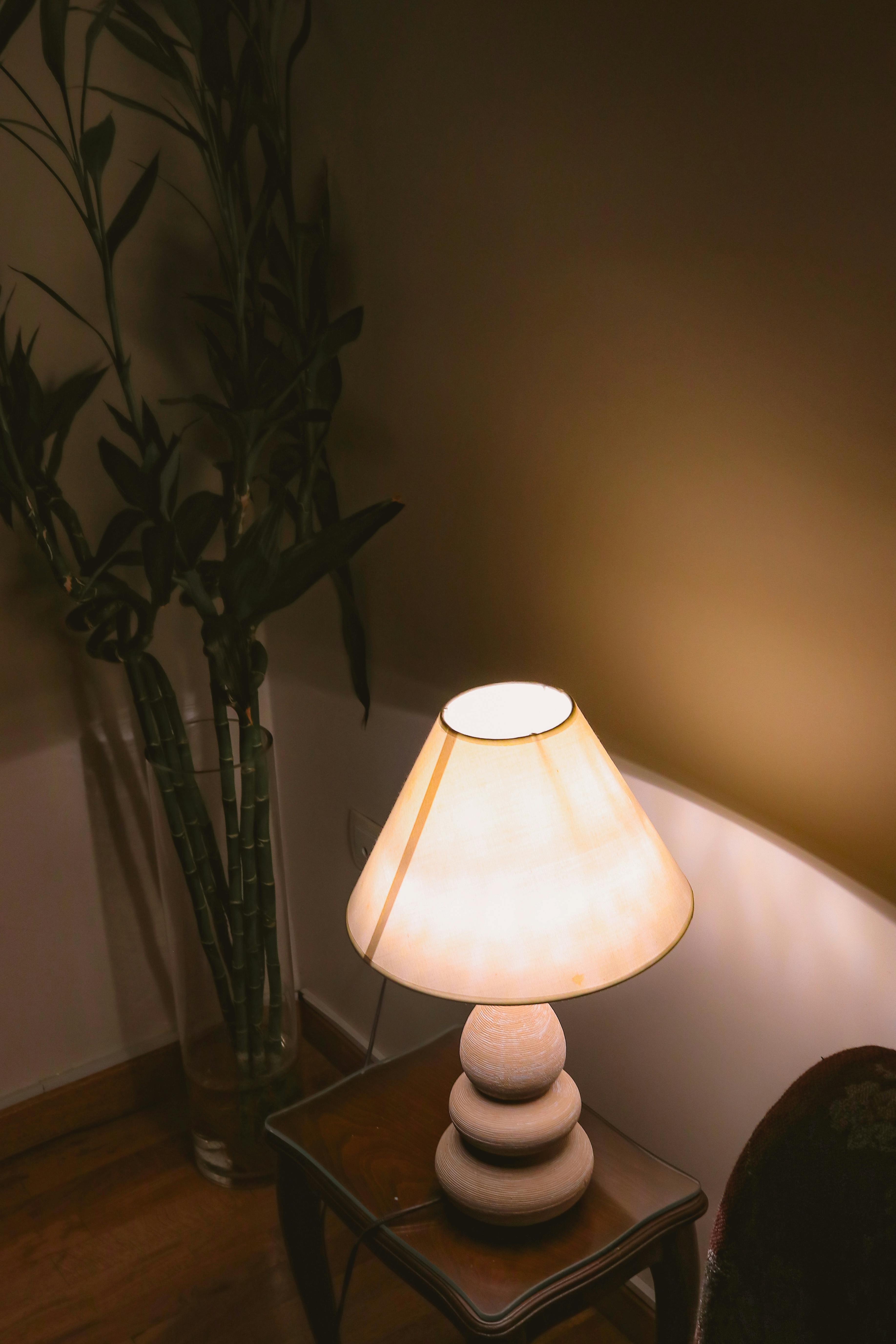 Kostenlos Warme Innenszene mit einer leuchtenden Lampe und einer Bambuspflanze in minimalistischem Ambiente. Stock-Foto