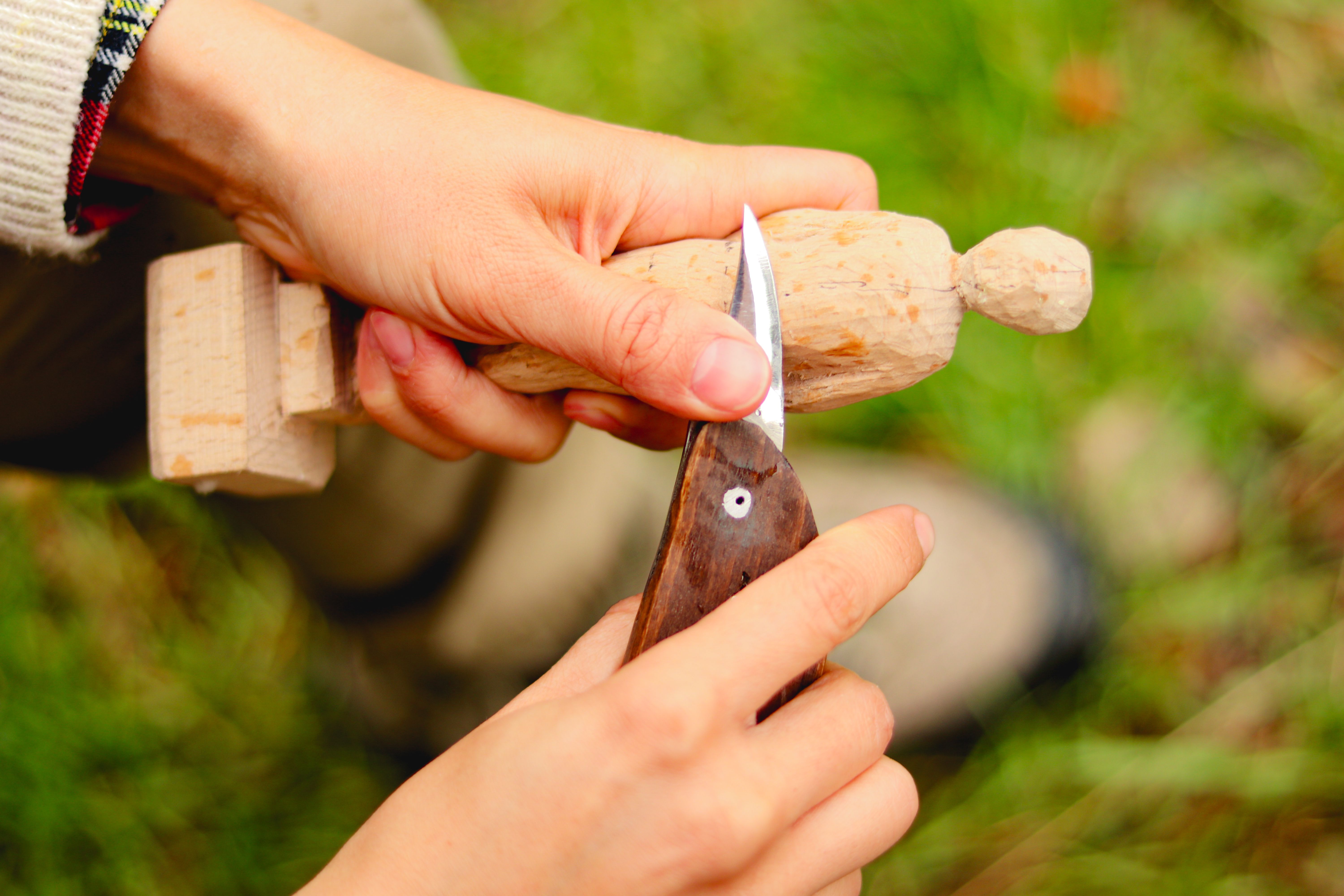 Best Wood Carving Kit for Beginners 2026: Top Picks Ranked