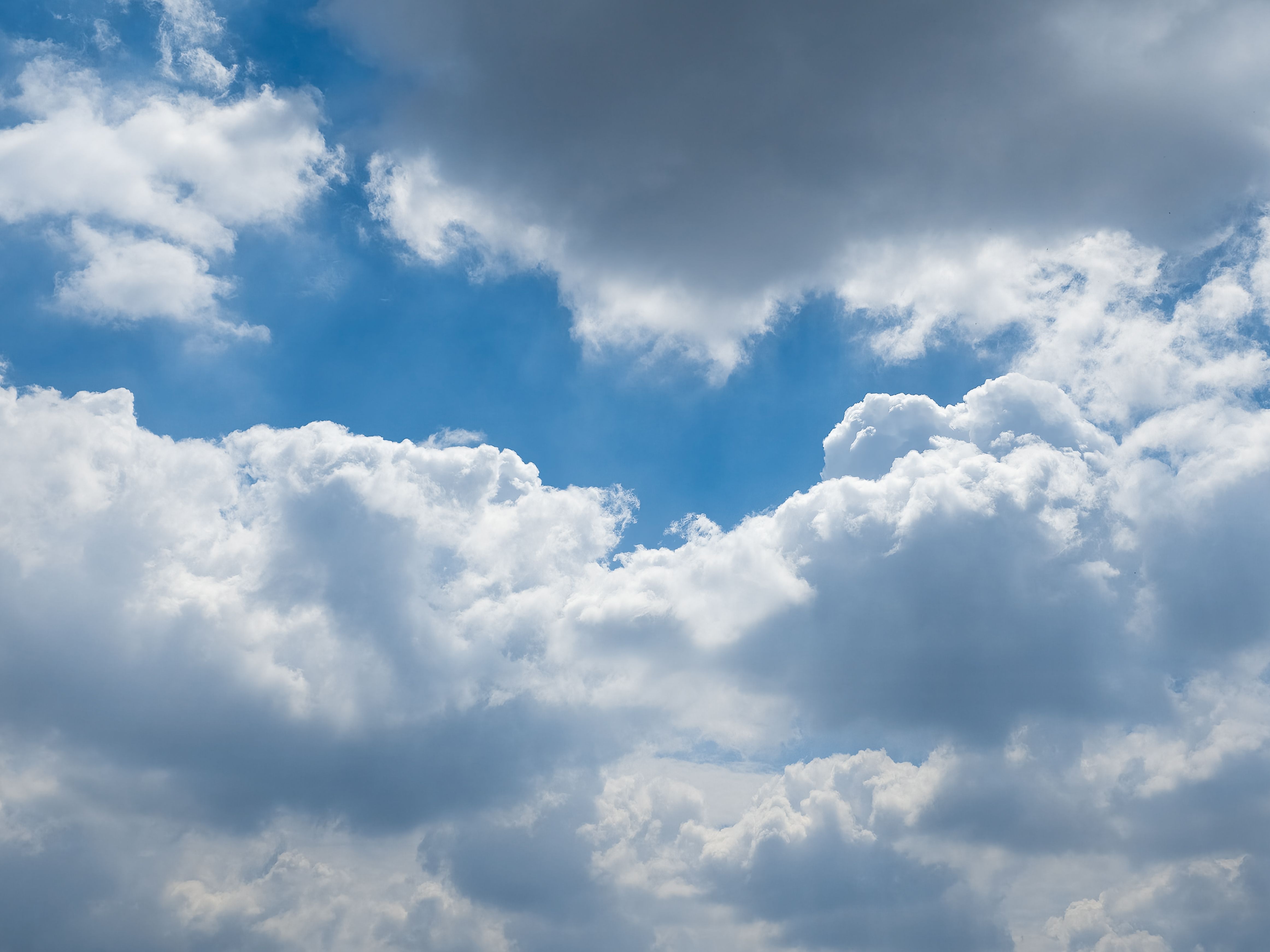 OpenCLaw on AMD Developer Cloud: Free Deployment with Qwen 3.5 and SGLang — Photo by jiale MA on Pexels