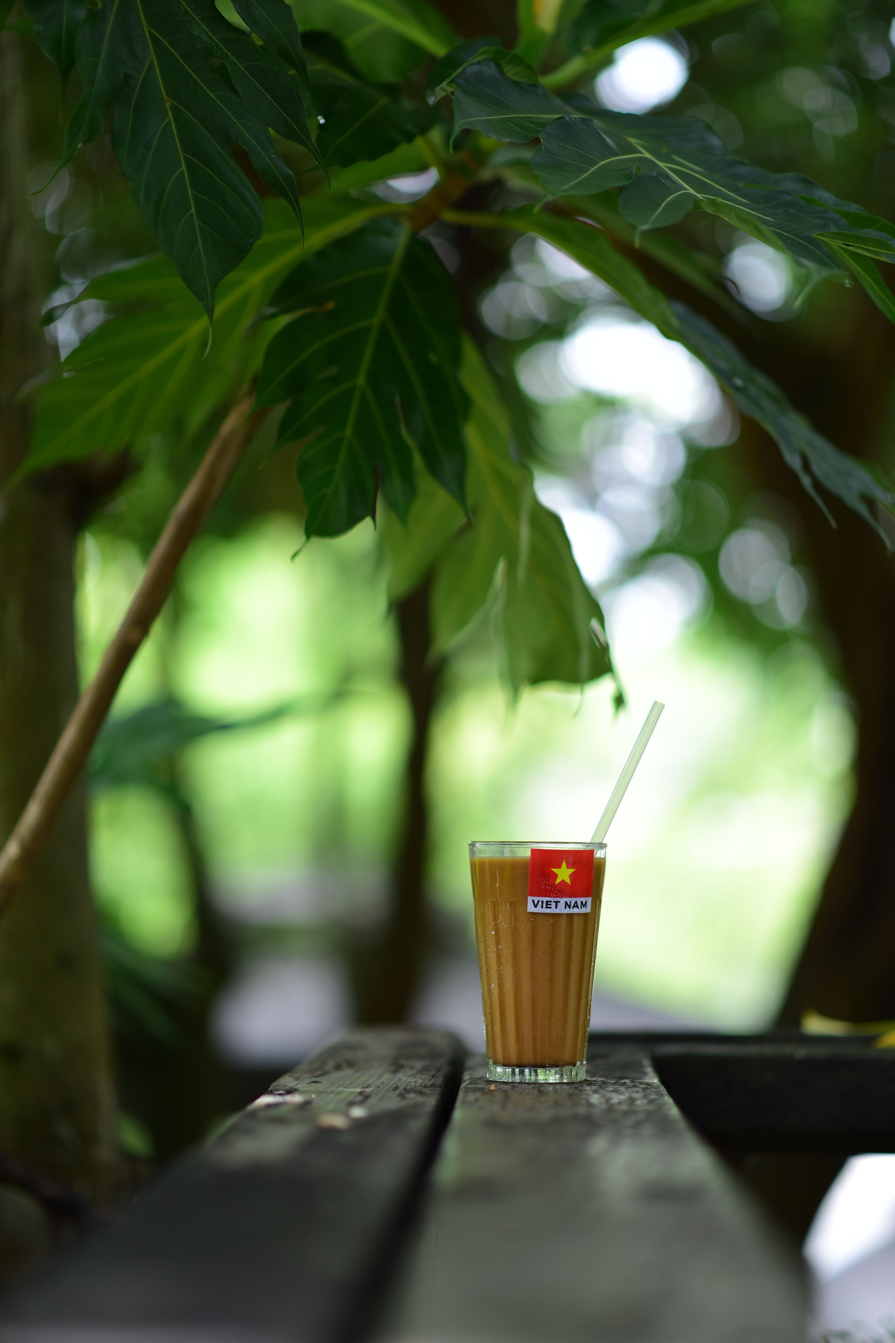 Glass of Vietnamese iced coffee with straw in outdoor garden. Refreshing and inviting.
