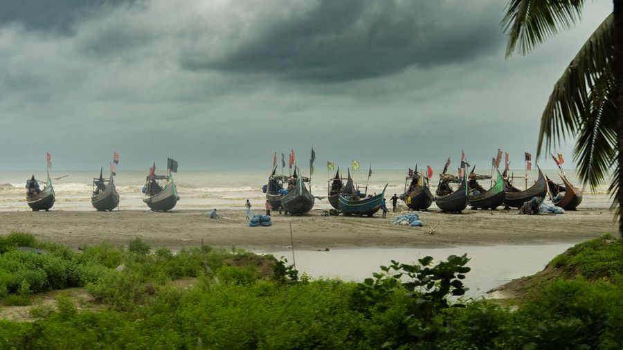 The fleet at rest