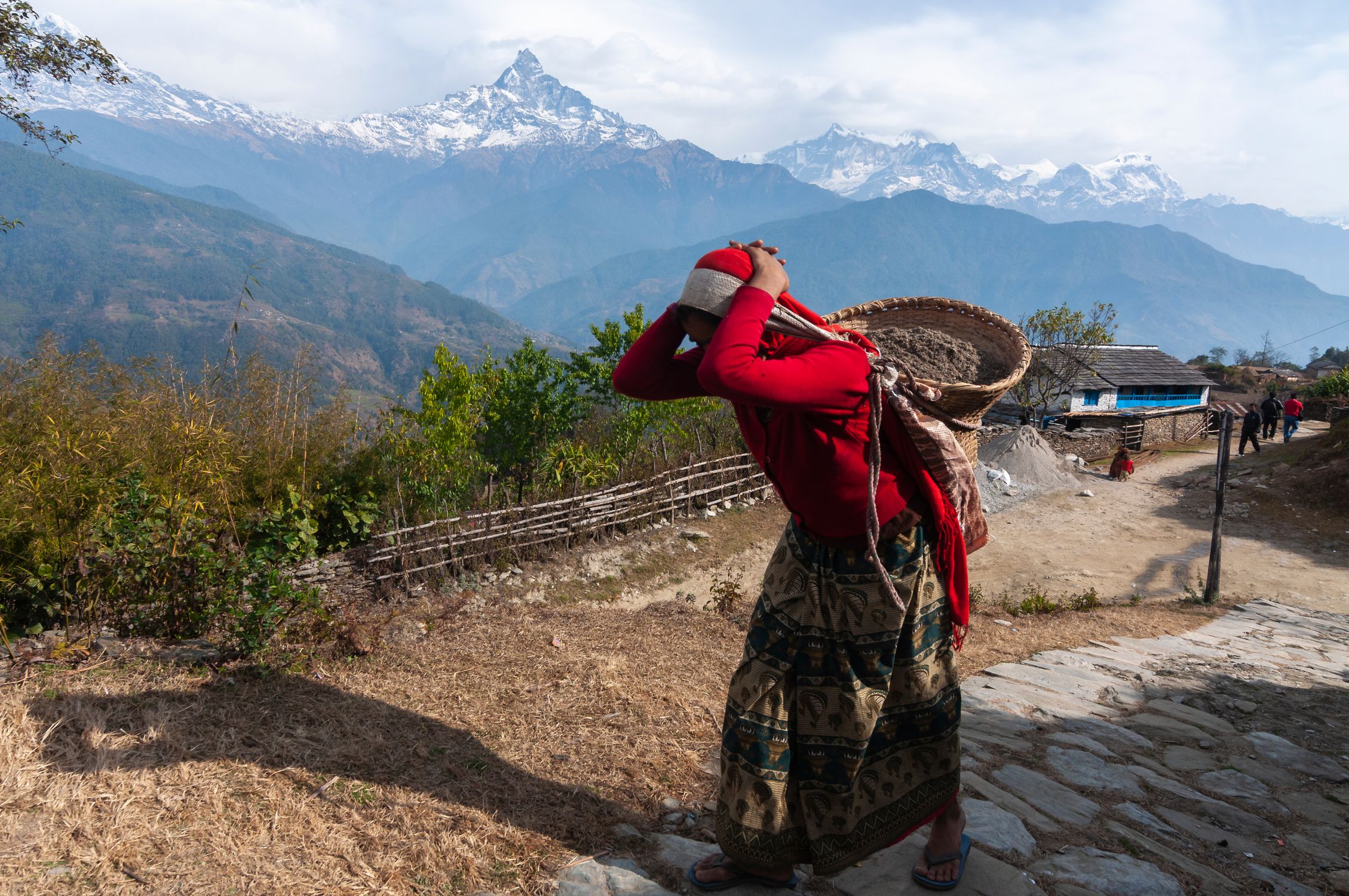 A woman carrying a basket in the scenic village of Dhampus with Himalayas backdrop.