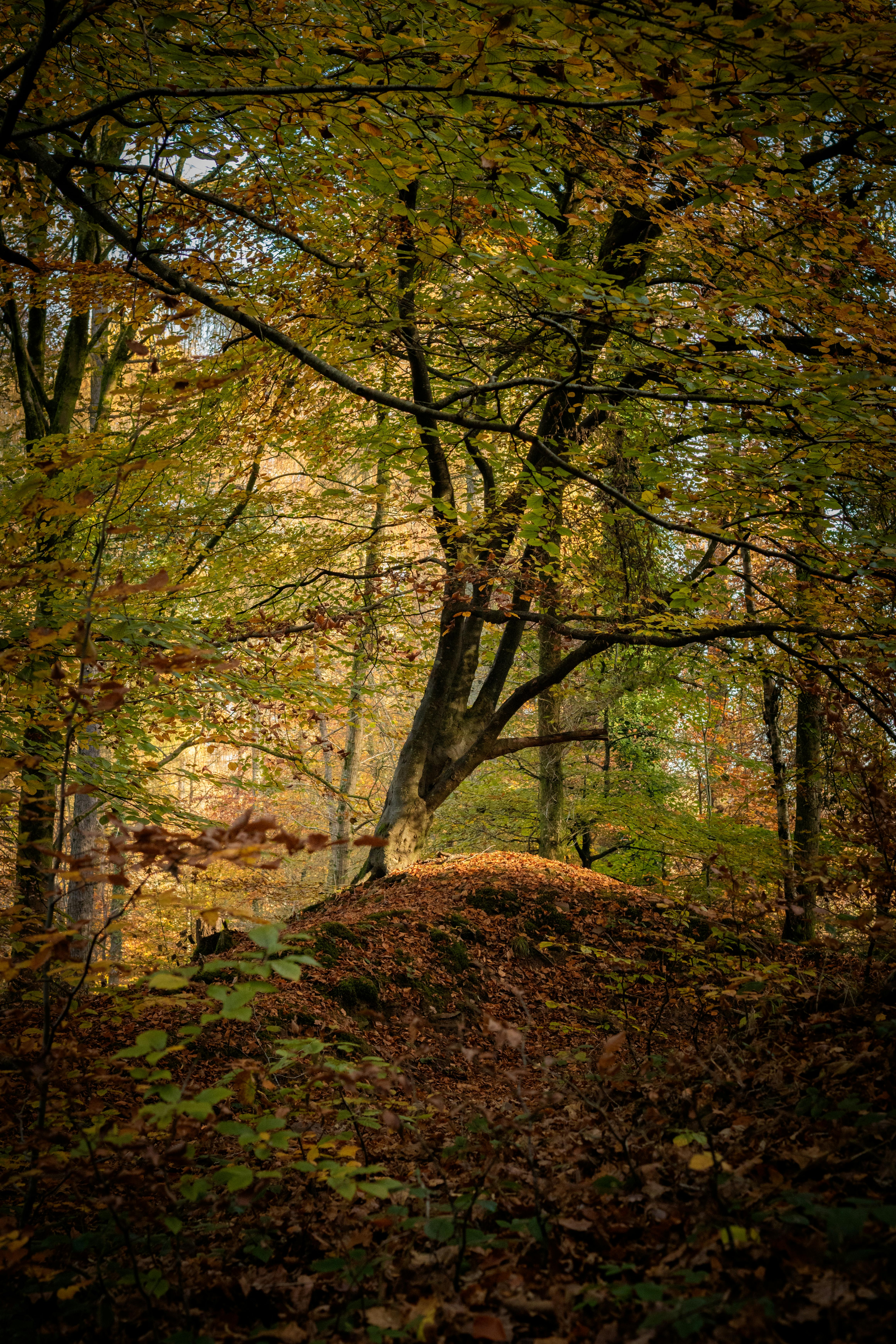 探索新竹科學園區：台灣科技創新的搖籃與商務旅館推薦指南