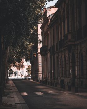Charming European street lined with historic buildings and lush trees under soft sunlight.
