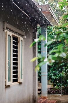 Peaceful rainfall on a traditional house in Đồng Nai, framed by lush green foliage.