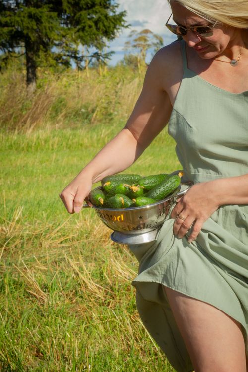 Free A woman in a green dress holding a basket of fresh zucchini outdoors on a sunny day. Stock Photo