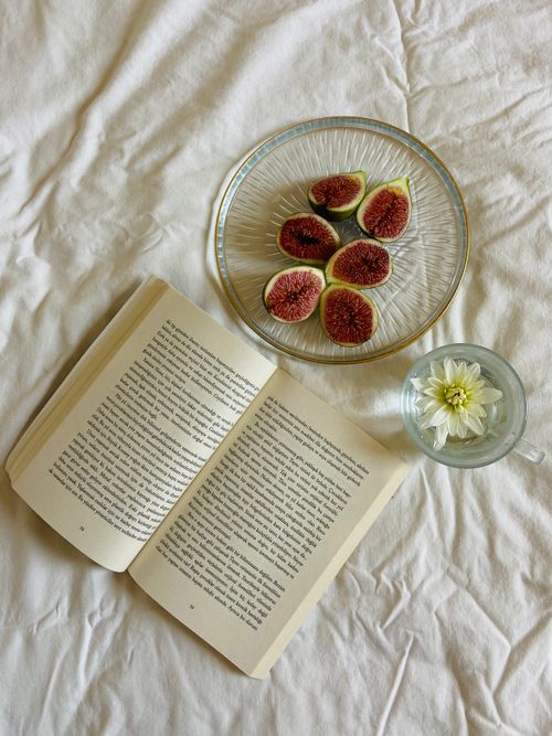 Free Inviting still life with open book, fresh figs, and a flower on a white sheet. Stock Photo