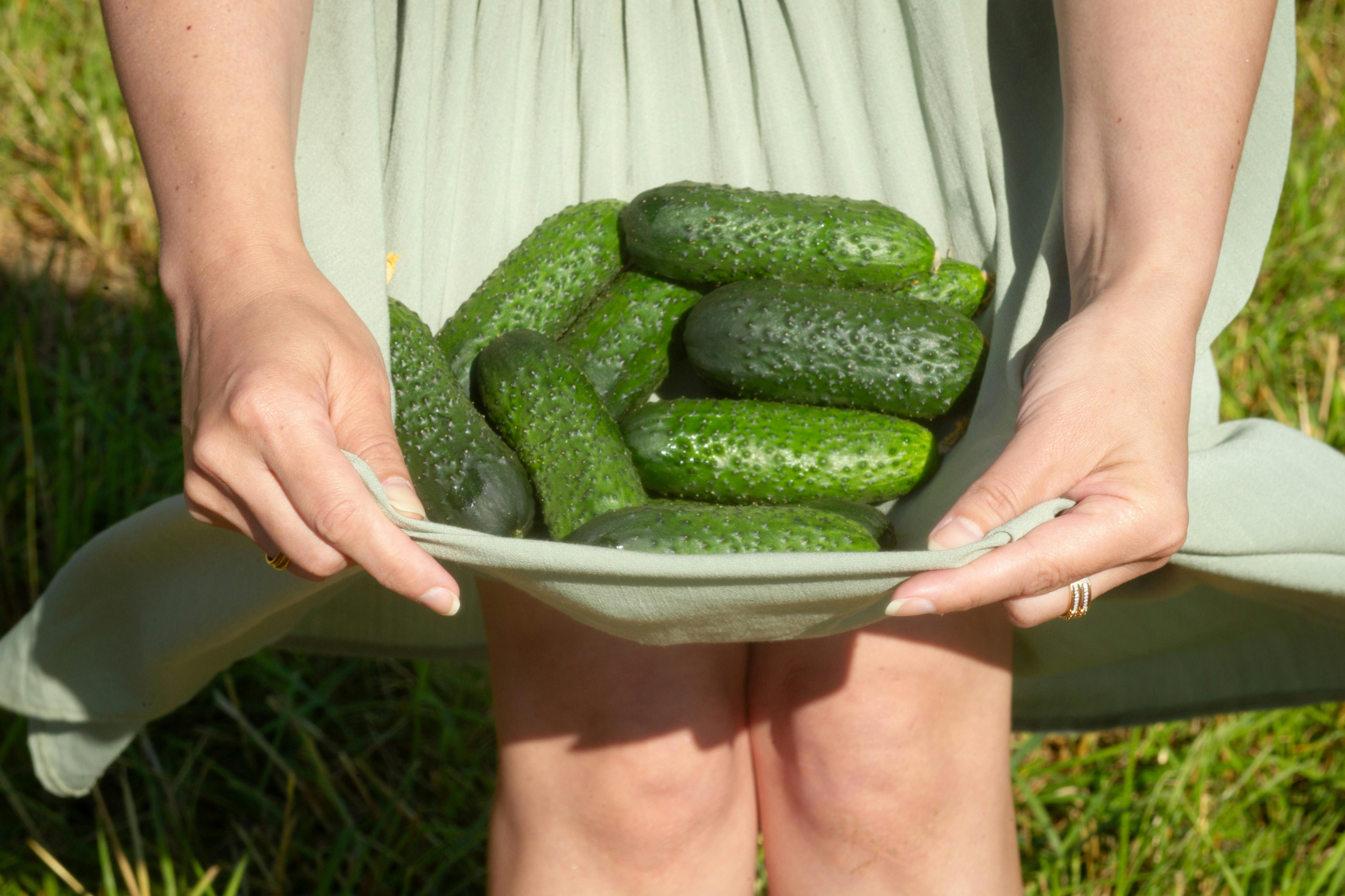 七夕甜蜜共饗 新北惜食餐廳邀你綠生活