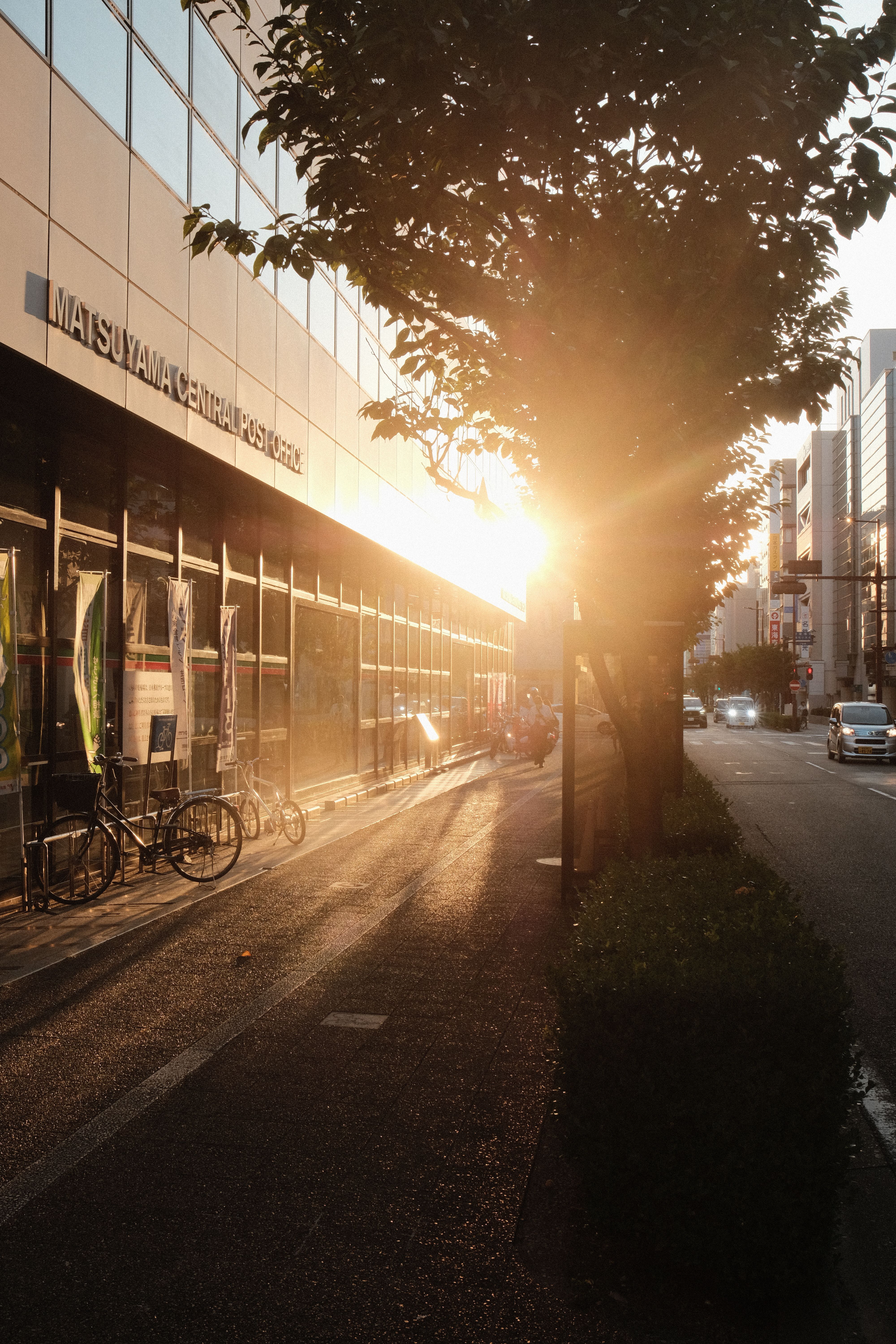 Golden hour sunlight illuminates an urban street with bicycles and modern architecture.