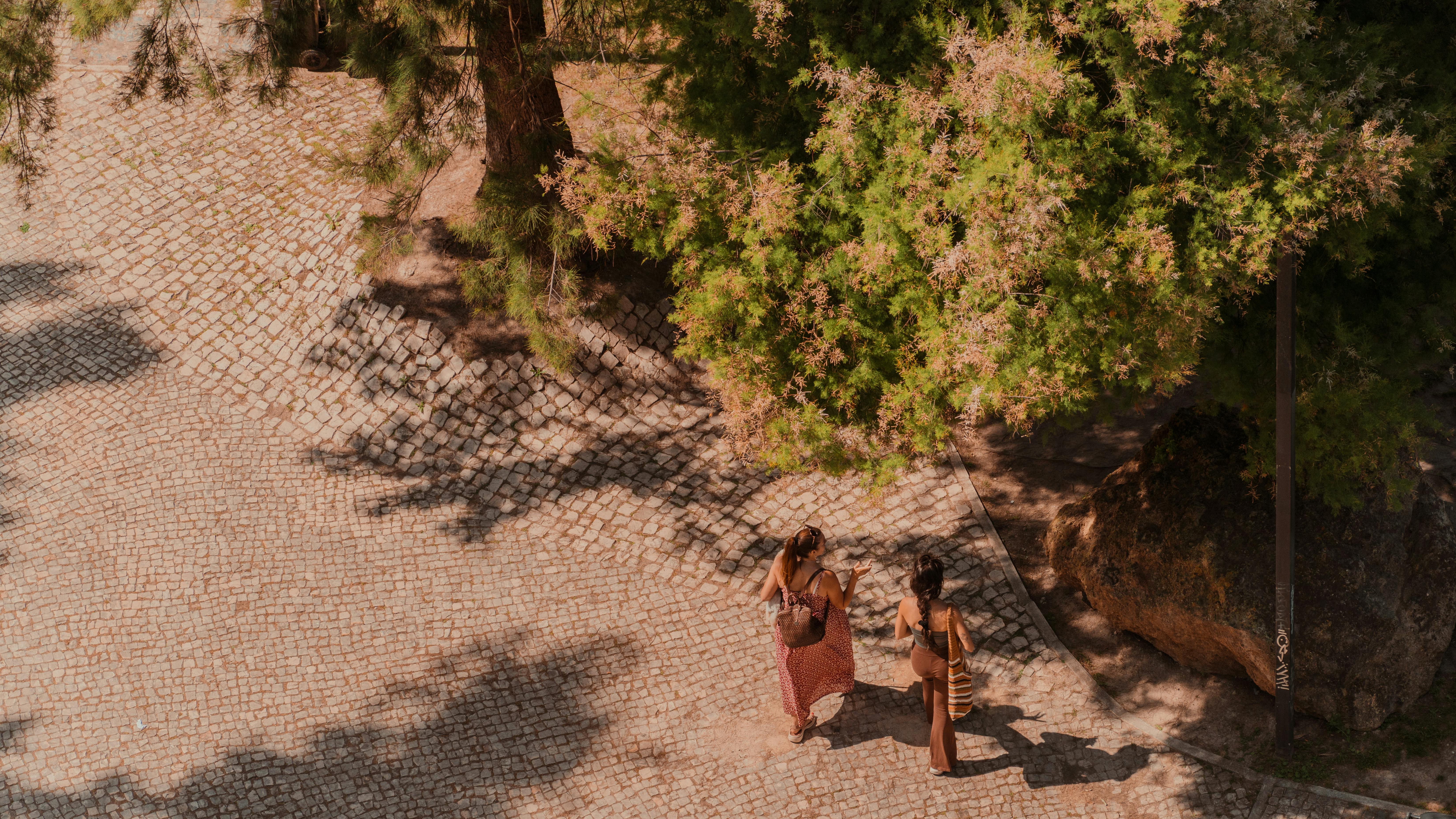 Gratis Ripresa aerea di due persone che camminano su un sentiero acciottolato in un soleggiato parco di Lisbona, sotto gli alberi. Foto a disposizione