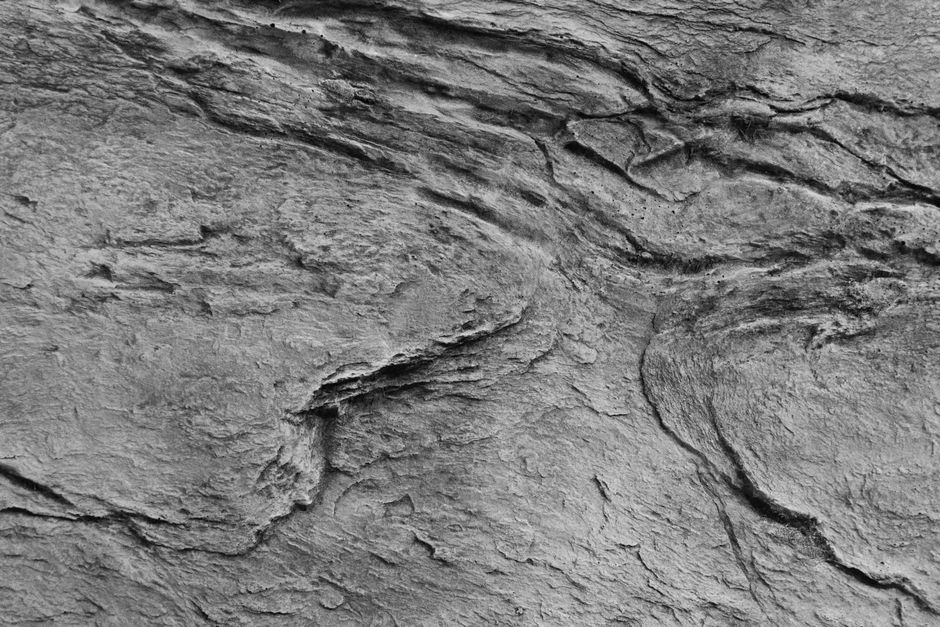 This BC Geopark Is Turning Tourists Into Real Dinosaur Detectives