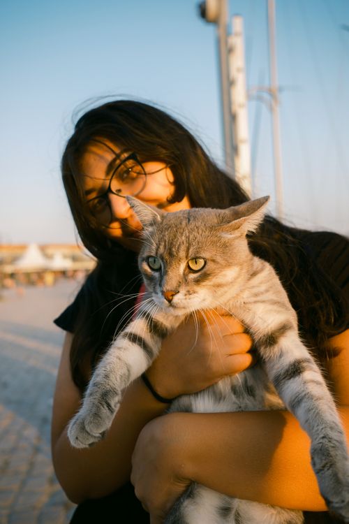 Free A young girl outdoors gently holding a gray tabby cat as the sun sets, casting a warm glow. Stock Photo