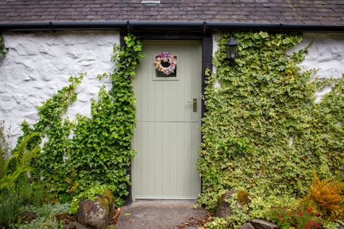 Weather-Wise Plants for Your Fall Garden