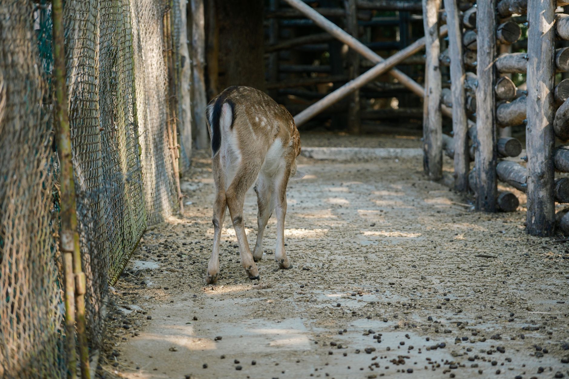 Yorkshire Wildlife Park girişi ve çevresi
