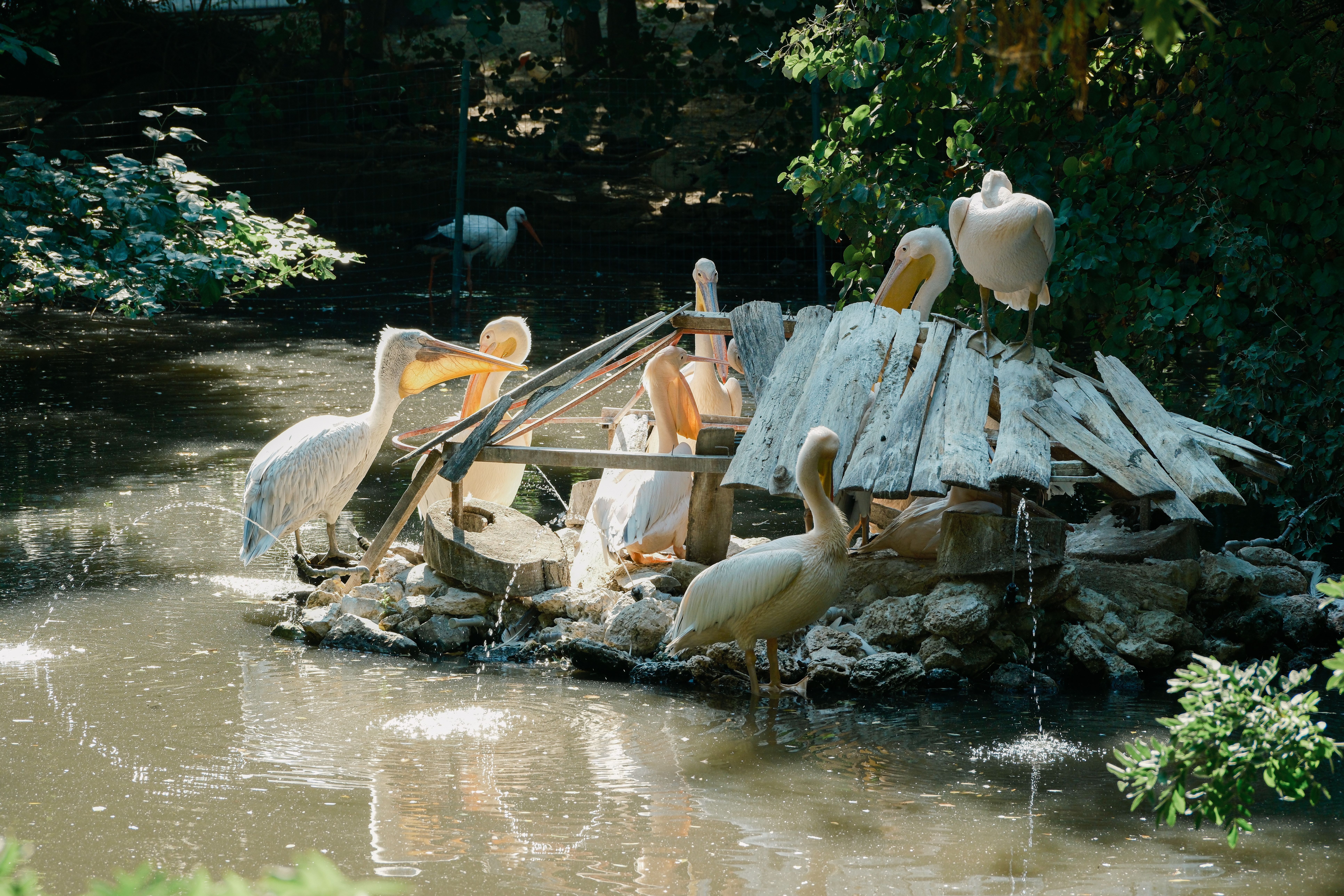Sofia Zoo