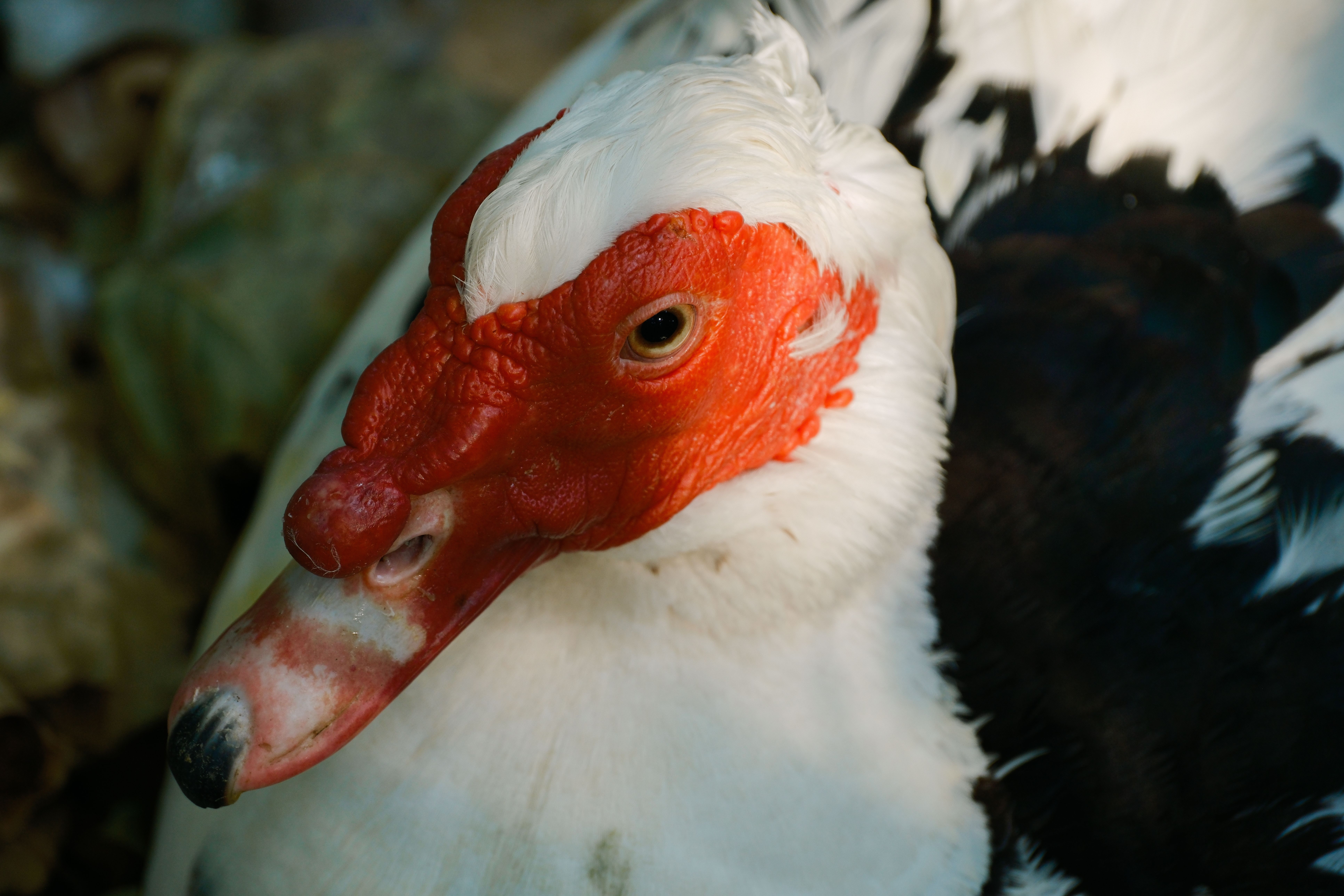 2012 Review of Drake Software — Drake Tax — Photo by Ramon Karolan on Pexels