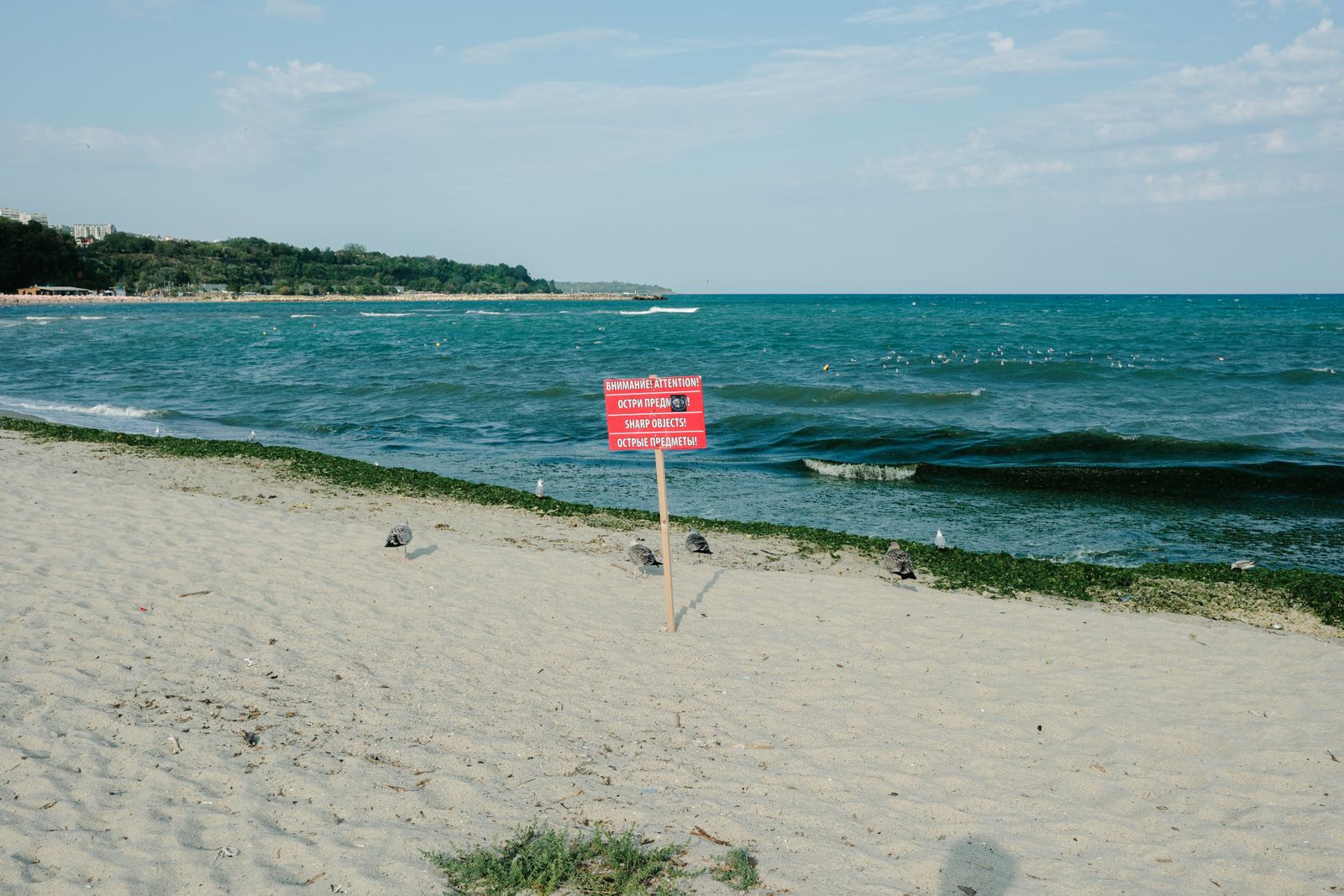 Napospart, Bulgaria