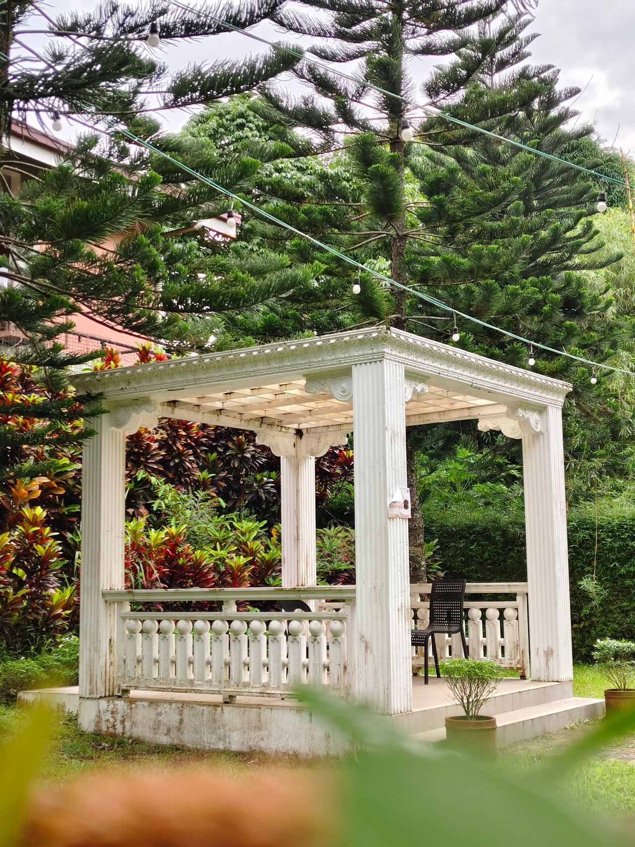 White column-style open gazebo with lattice roof in a tropical garden