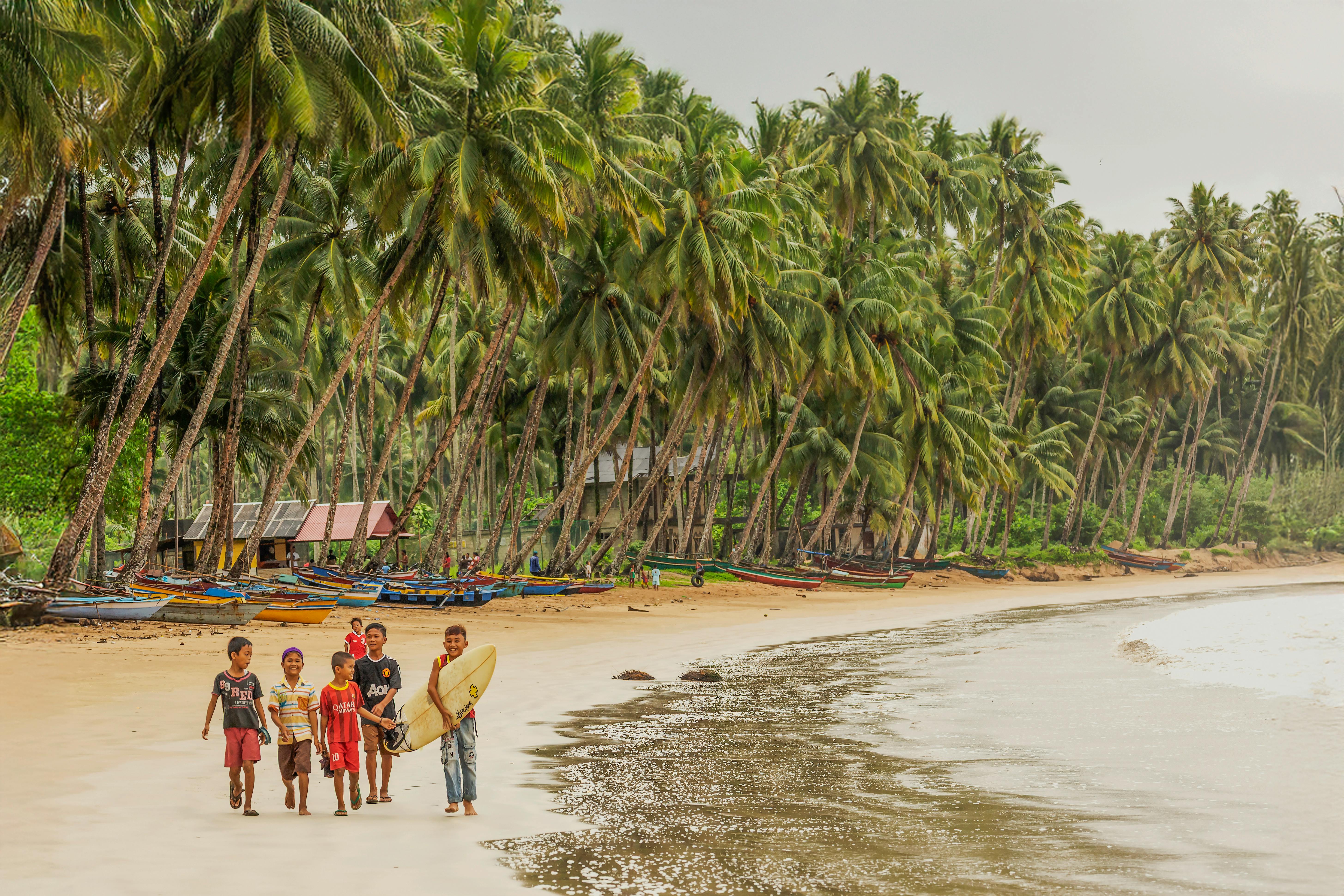 體驗沙灘椰子人生 Coconut Simulator 2 Steam頁面正式公開