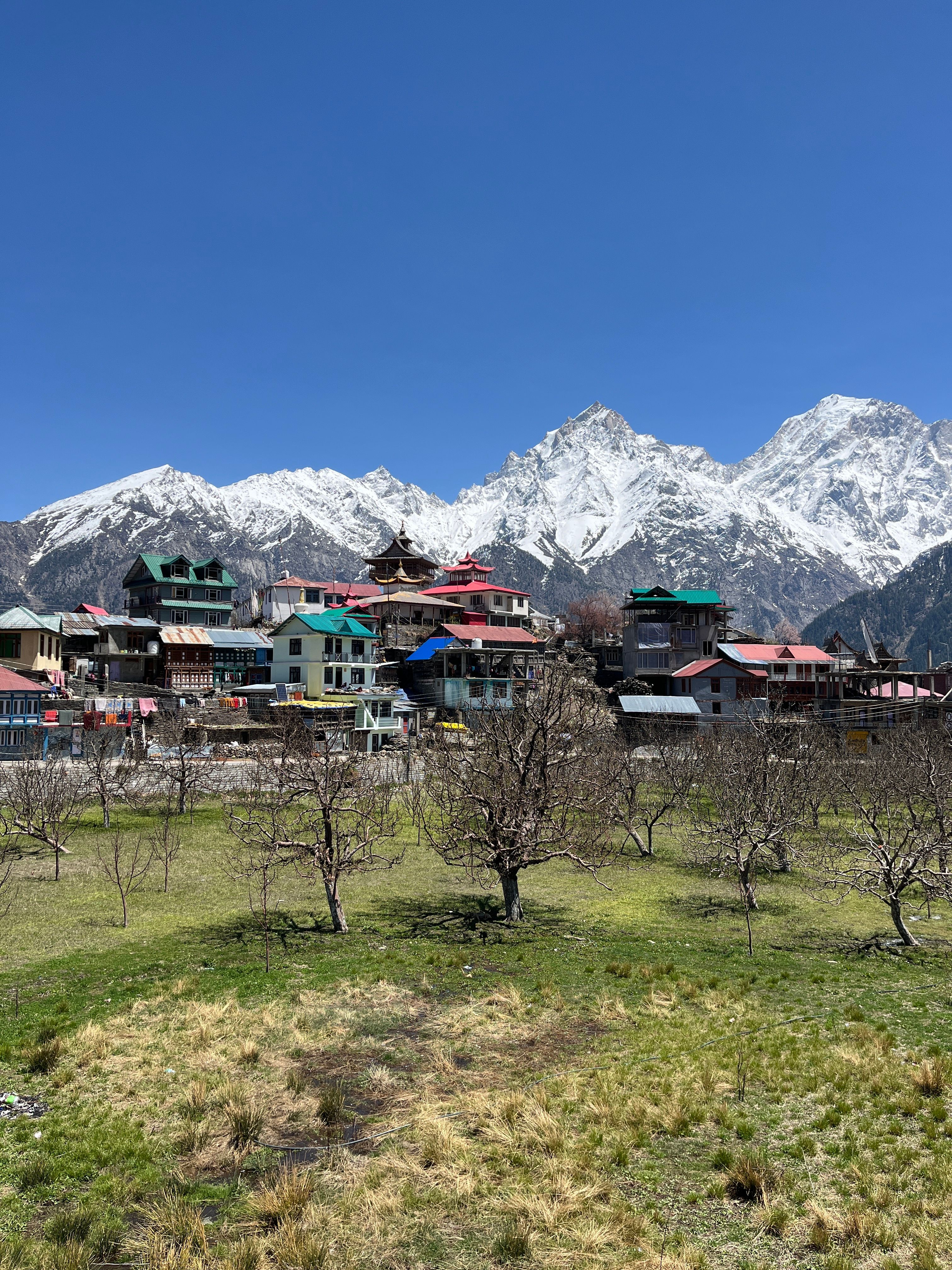 Scenic Kalpa Village with Snow-Capped Himalayas · Free Stock Photo