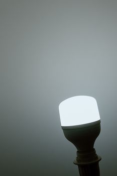USHA TISVA LED BULB 30 W WHITE