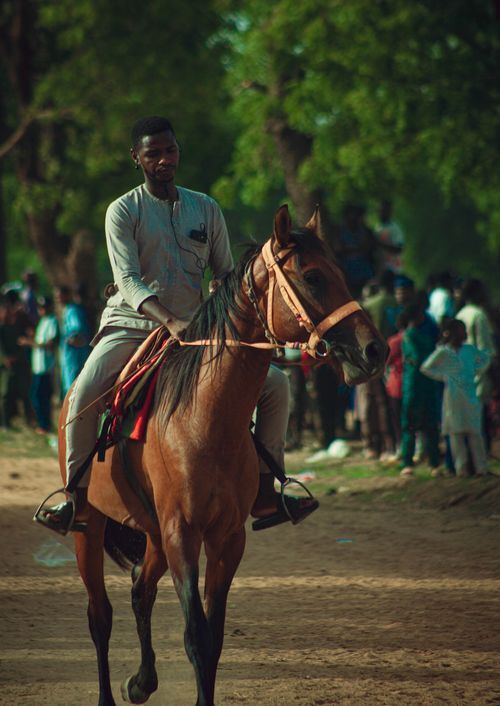 Free A man rides a brown horse in an outdoor gathering, surrounded by a crowd. Stock Photo