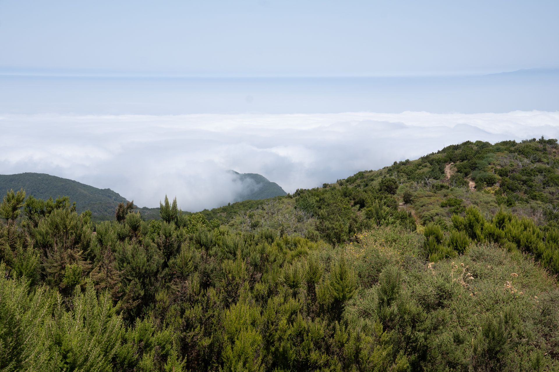 Channel Islands