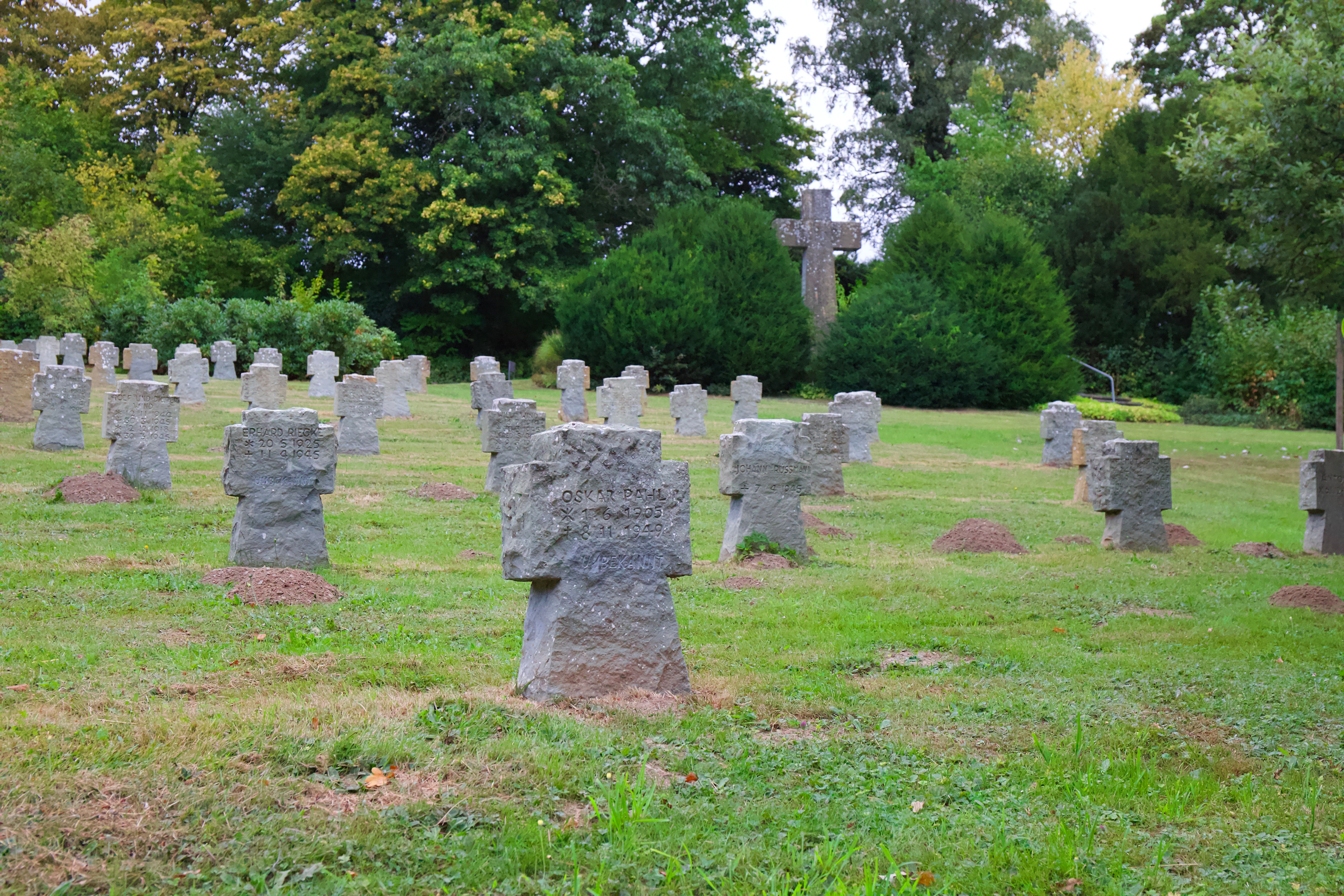 Stone crosses stand in a lush, serene cemetery surrounded by greenery.