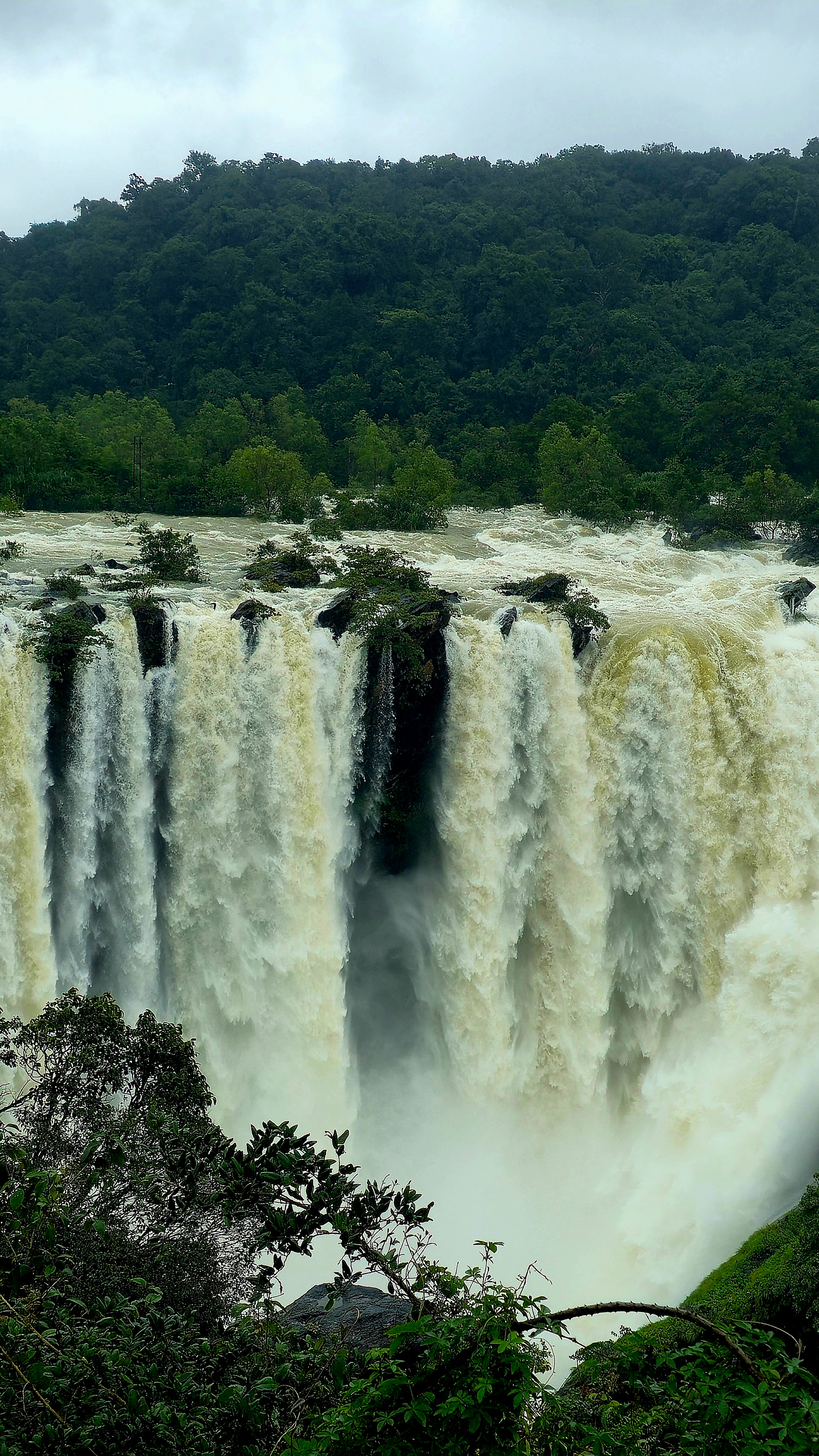 A breathtaking view of cascading waterfalls surrounded by dense green forest.