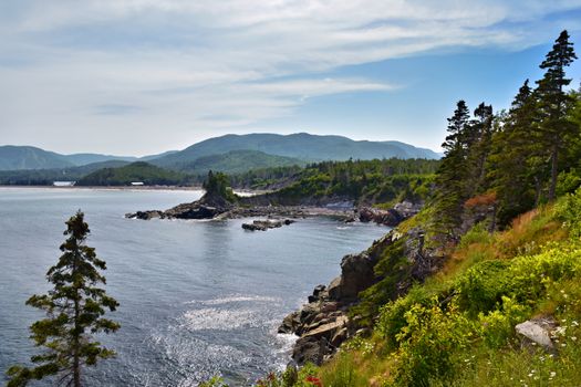 Beautiful summer view of rugged Nova Scotia coastline with lush greenery and ocean.