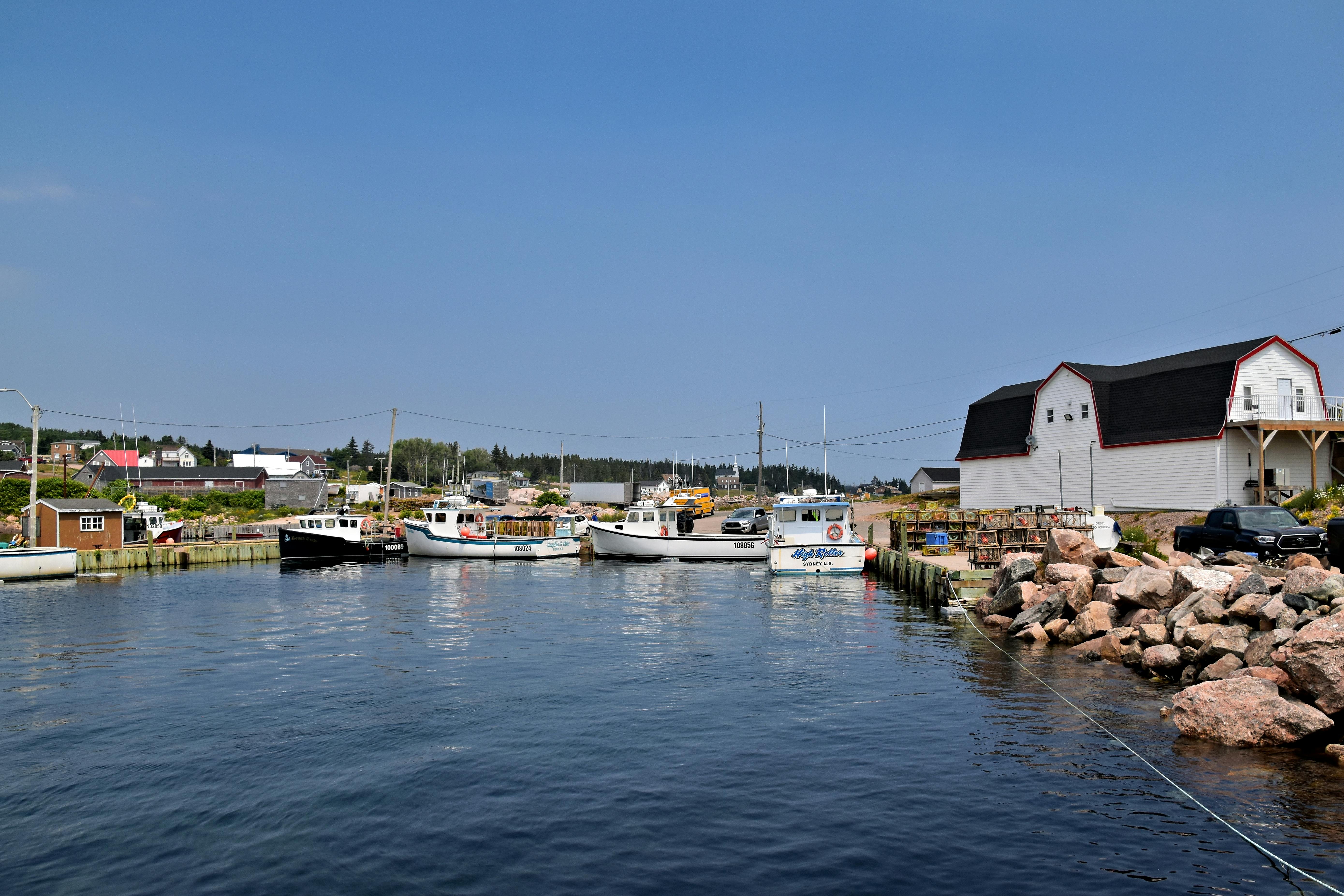 Lunenburg Eyes Grant Access With Outdoor Recreation Plan — Photo by Jeffrey Eisen on Pexels