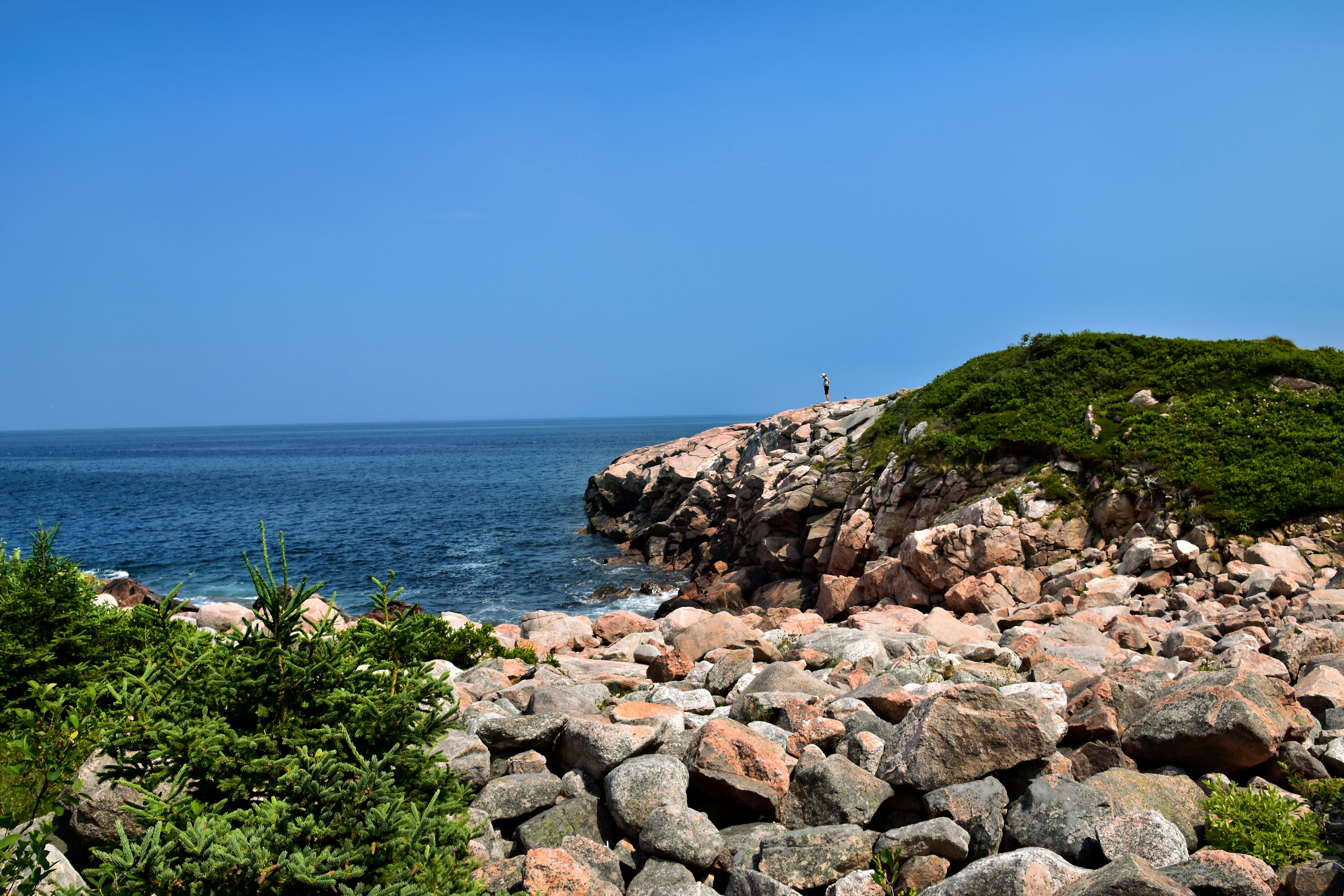 A vibrant summer scene capturing a rocky coastline in Nova Scotia, perfect for travel and adventure enthusiasts.