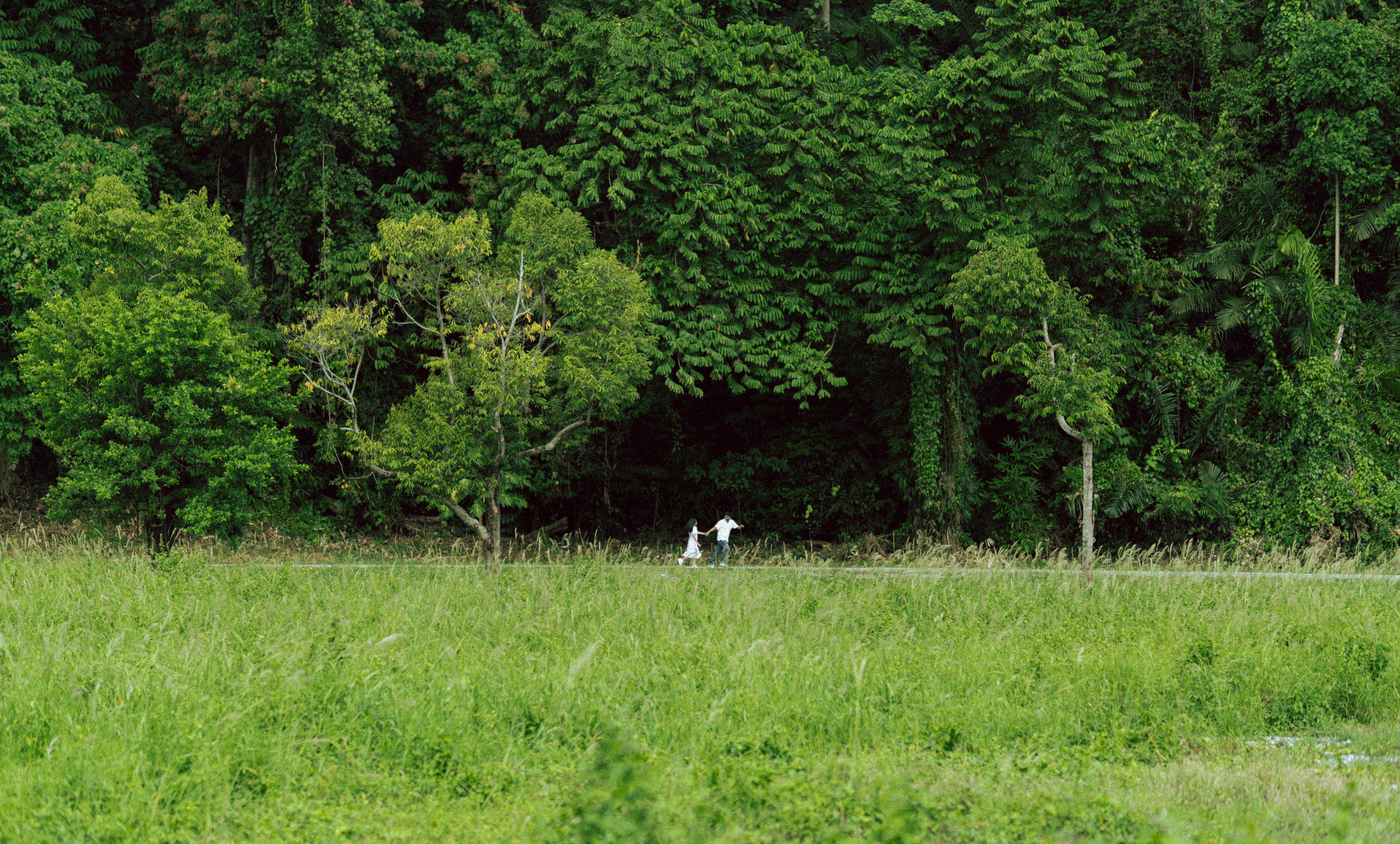 A couple taking a stroll along lush greenery in Malita, Davao Region, Philippines.