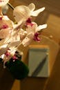 Elegant Orchids with Notepad in Sunlit Setting