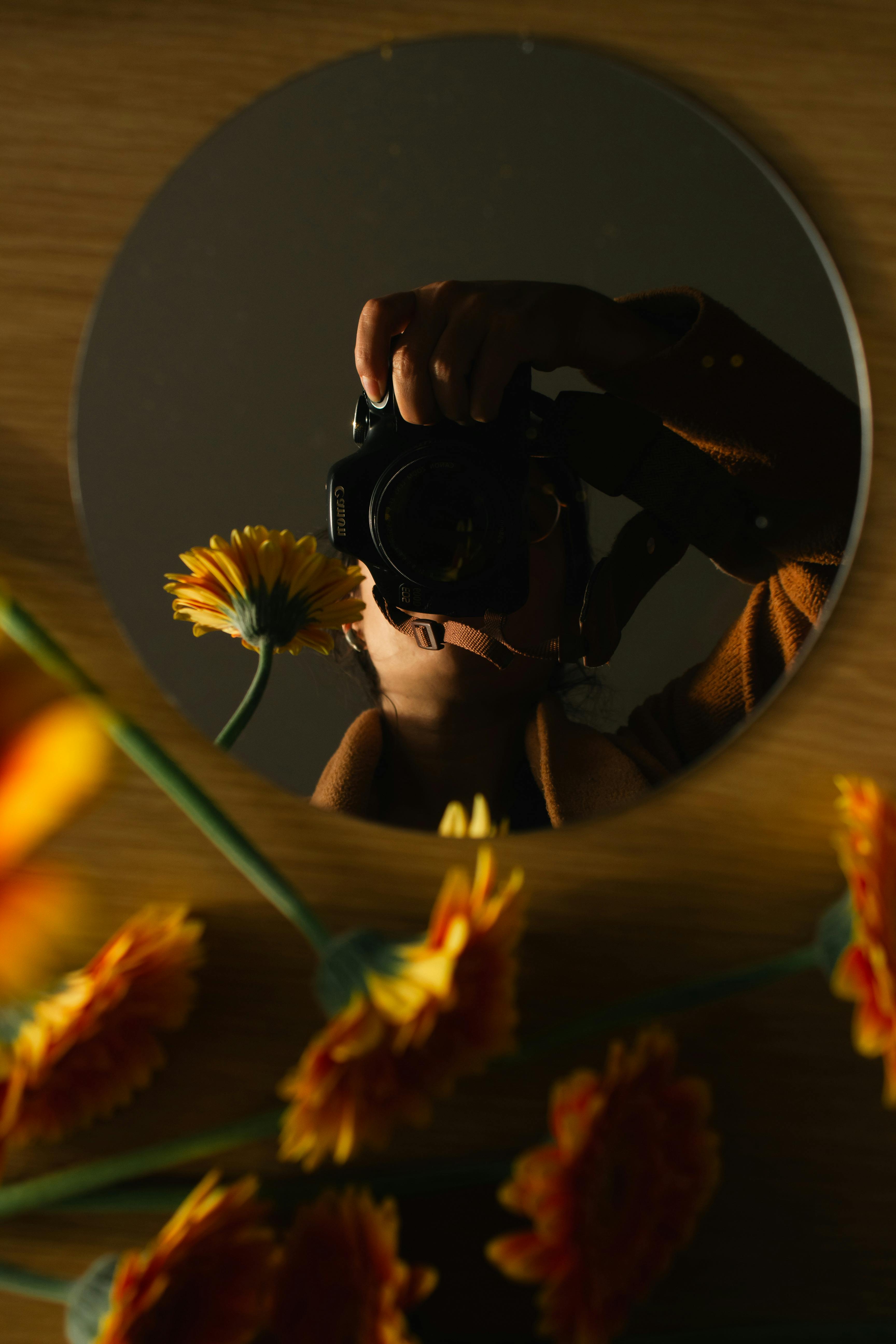 Gratuit Imagine de stoc gratuită din abstract, adâncime, aparat de fotografiat Fotografie de stoc