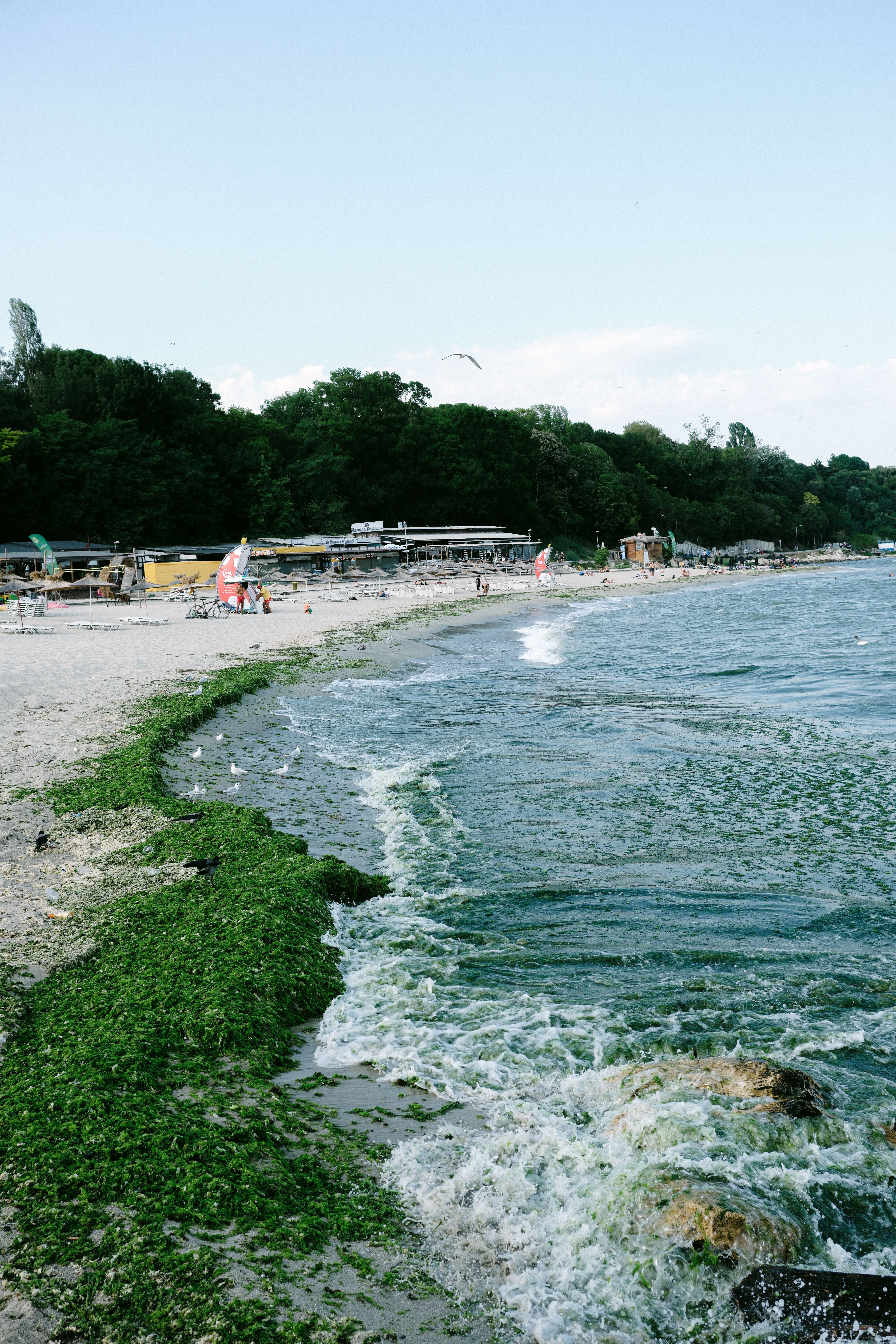 Black Sea Coast (Varna and Burgas)