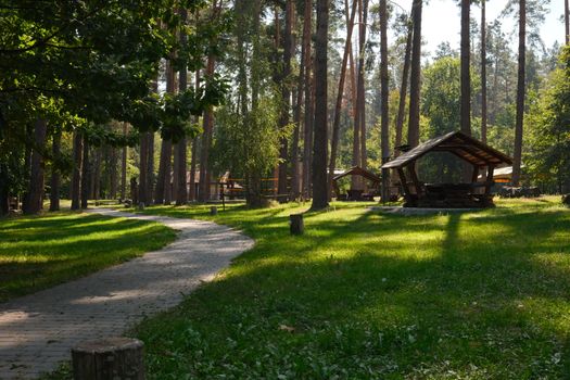 Peaceful forest setting with a winding path and picnic shelters in Pylypovychi, Ukraine.