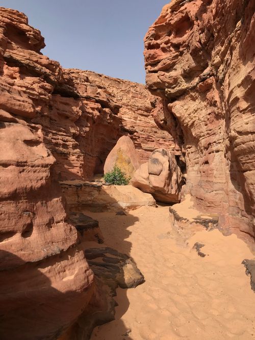 Free Explore the magnificent sandstone canyon with natural arches and sunlight. Stock Photo