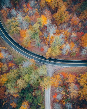 Aerial shot of a winding road through a colorful autumn forest highlighting vibrant foliage.