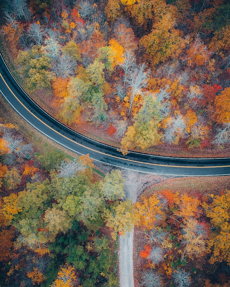 Bird's Eye View Of Road During Daytime 