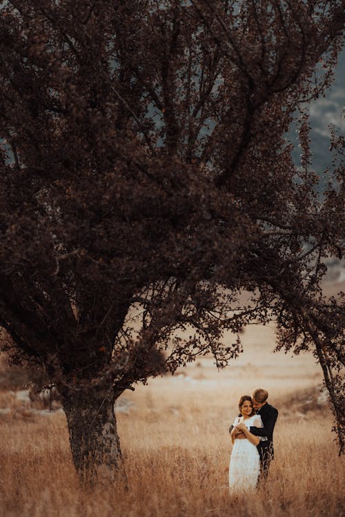 Free Couple Standing Under Tree Stock Photo