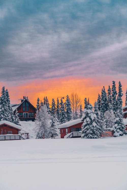 Brown Wooden Houses