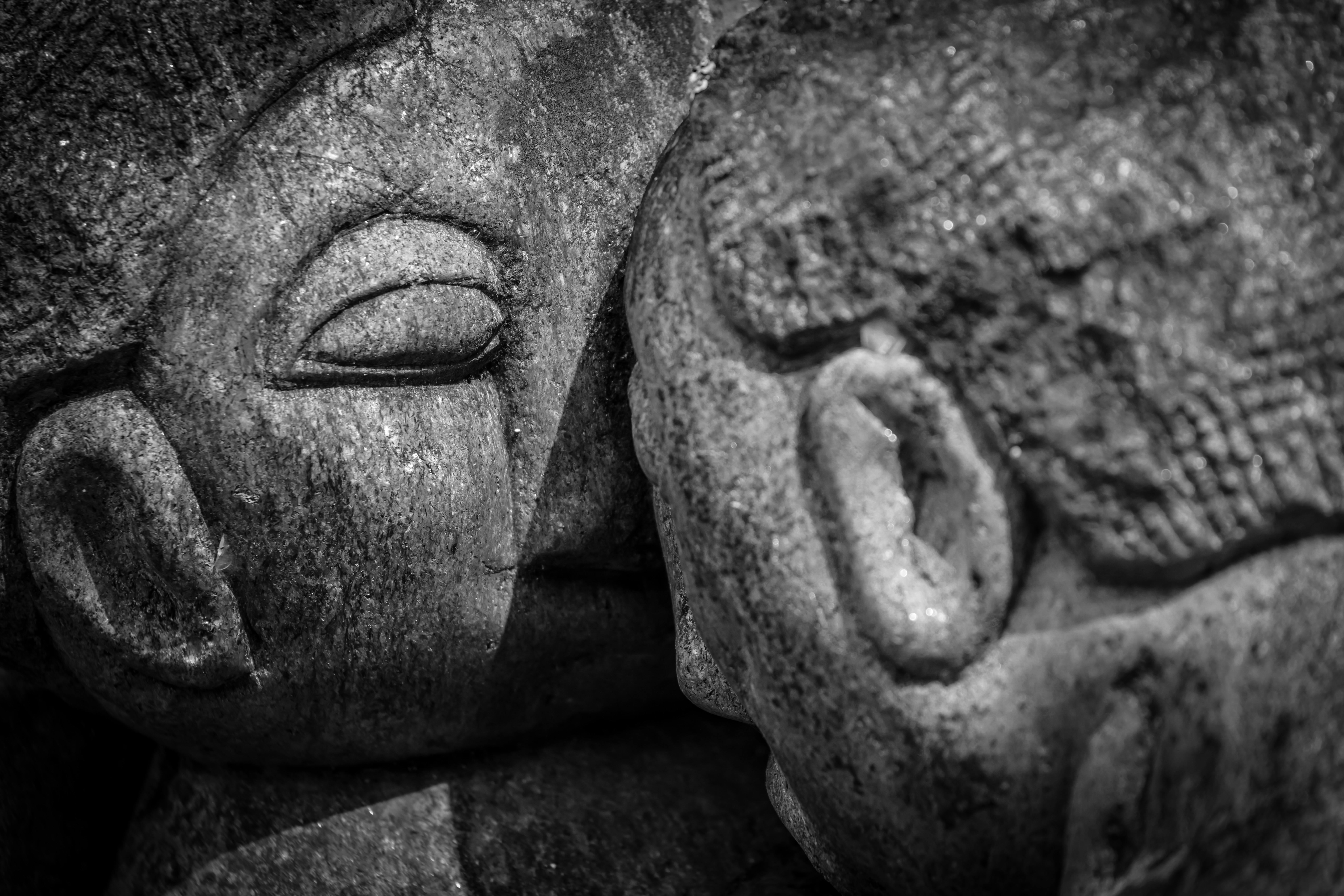 讓藝術貼近生活 新光小北門邀6位藝術家作品曝光