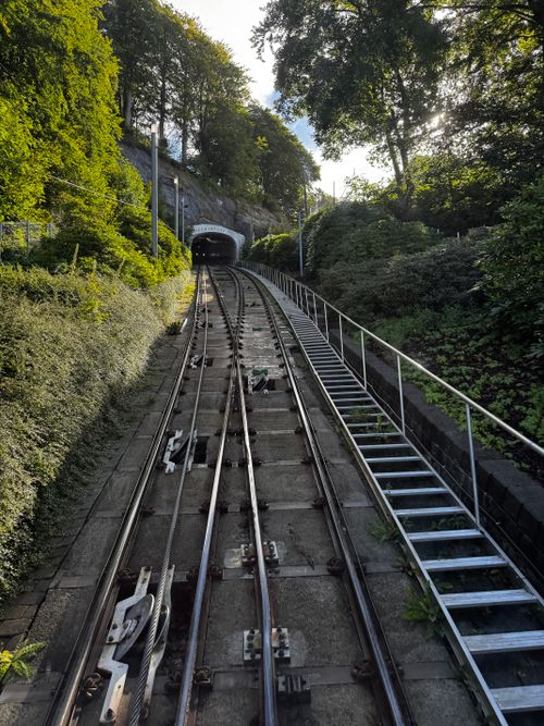 Free Serene view of railway tracks entering a tunnel, surrounded by lush greenery in Bergen, Norway. Stock Photo