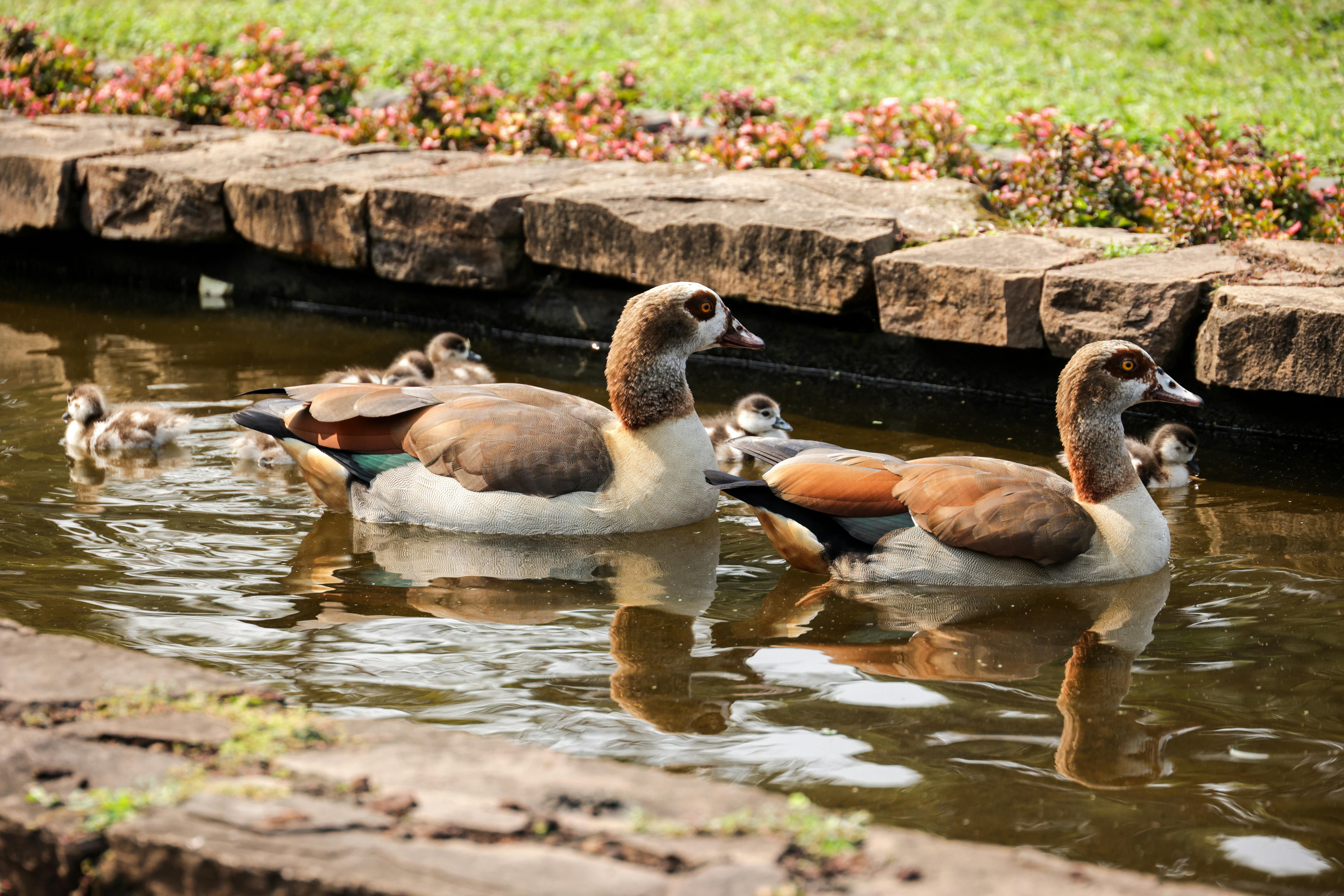 Sintaksis Dasar CSS Nesting